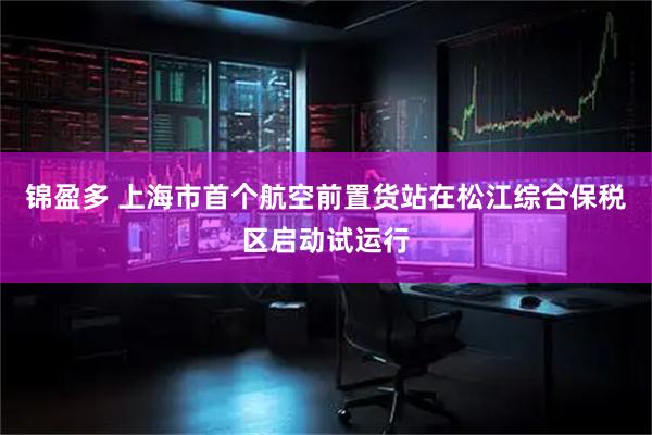 锦盈多 上海市首个航空前置货站在松江综合保税区启动试运行