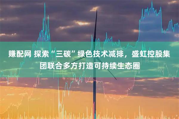 赚配网 探索“三碳”绿色技术减排，盛虹控股集团联合多方打造可持续生态圈