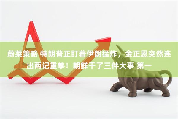 蔚莱策略 特朗普正盯着伊朗猛炸，金正恩突然连出两记重拳！朝鲜干了三件大事 第一
