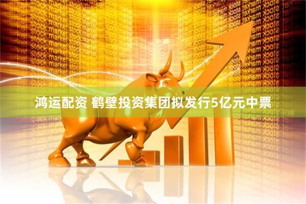 鸿运配资 鹤壁投资集团拟发行5亿元中票