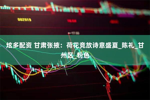 炫多配资 甘肃张掖：荷花竞放诗意盛夏_陈礼_甘州区_粉色