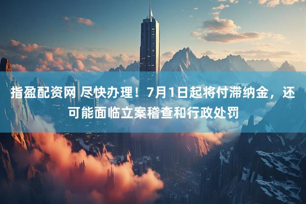 指盈配资网 尽快办理！7月1日起将付滞纳金，还可能面临立案稽查和行政处罚