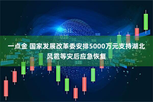 一点金 国家发展改革委安排5000万元支持湖北风雹等灾后应急恢复